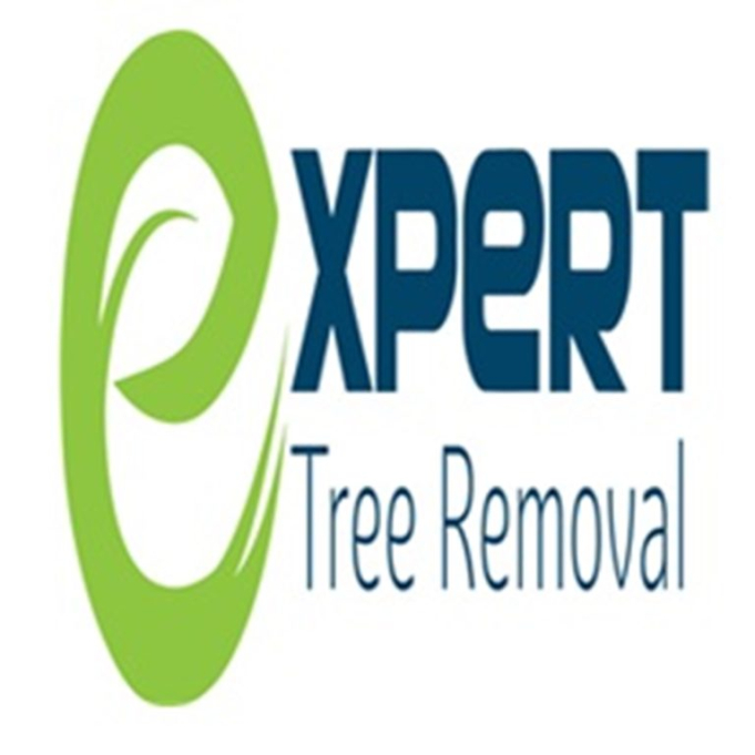 Expert Tree Removal Pty Ltd