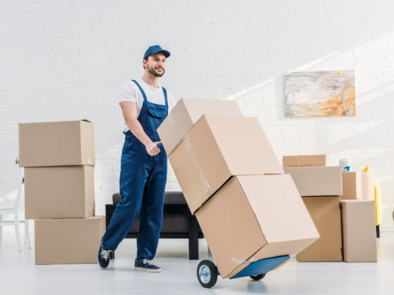 Three Movers