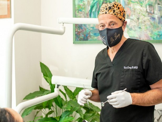 Levy Dental Arts