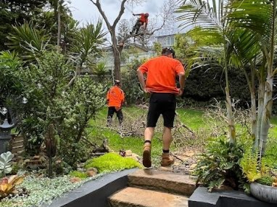 Standfast Tree Services