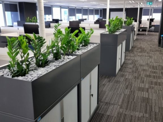 grolifeindoorplantscapes