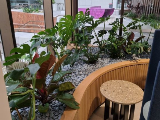 grolifeindoorplantscapes