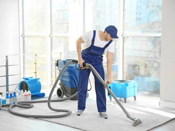 Sparkle Brighton Carpet Cleaning & Upholstery Cleaning