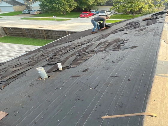 Mister Re-Roof