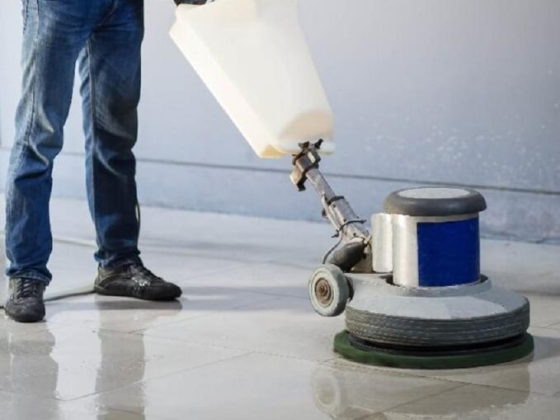 BluWolf Janitorial