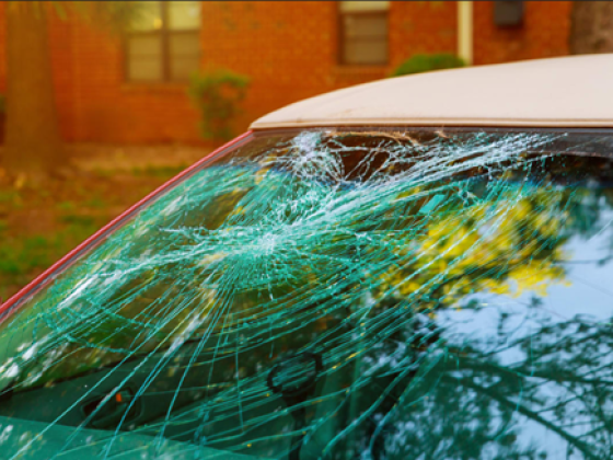 Cary Wintroub Tus Abogados Accidentes