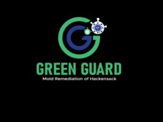 Green Guard Mold Remediation Hackensack