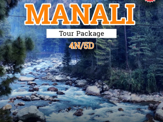 Trip Planners India