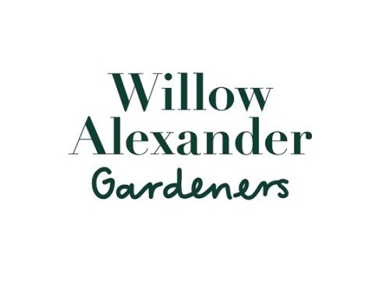 Willow Alexander Cleaners