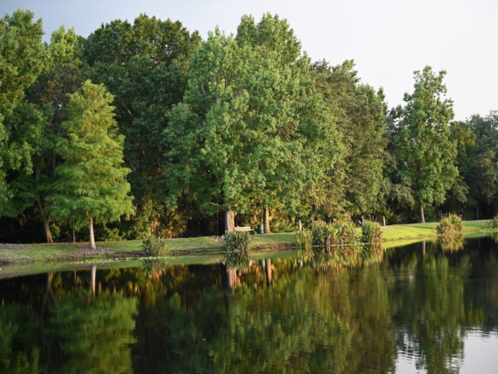 Sunshine Waterfront Services