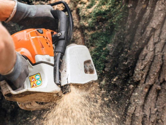Redding Tree Service