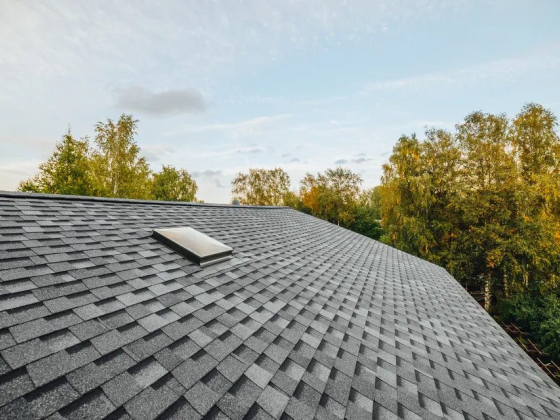 Badgerland Exteriors