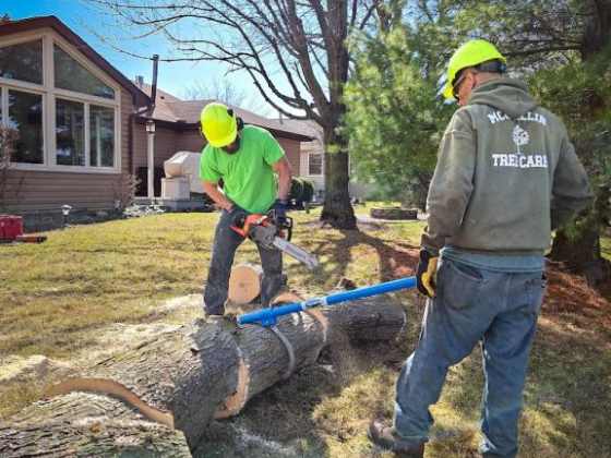 McQuillin Tree Care