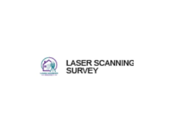 Laser Scanning Survey Ltd