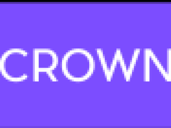 303 Crown Maids