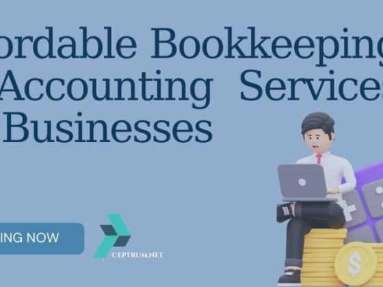 Affordable Bookkeeping & Accounting Services for Businesses