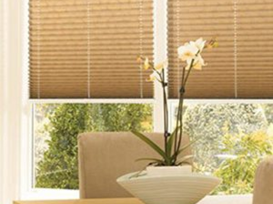 Dining table with a plant near shaded windows