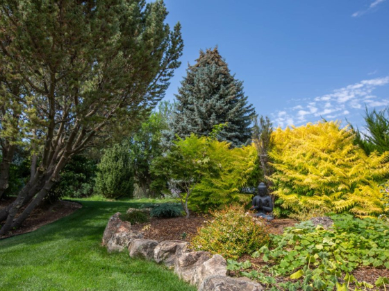 Serene garden with greenery and a meditation statue