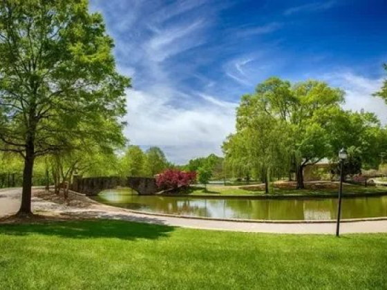 A tranquil park scene with lush trees and a pond