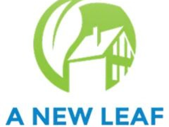 A New Leaf Painting