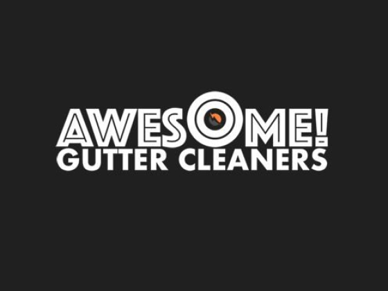 Awesome Gutter Cleaners