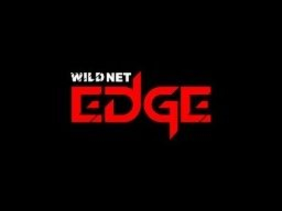 WildnetEdge | Website Development Company