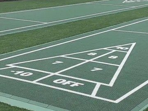 Well-maintained shuffleboard court in a garden setting