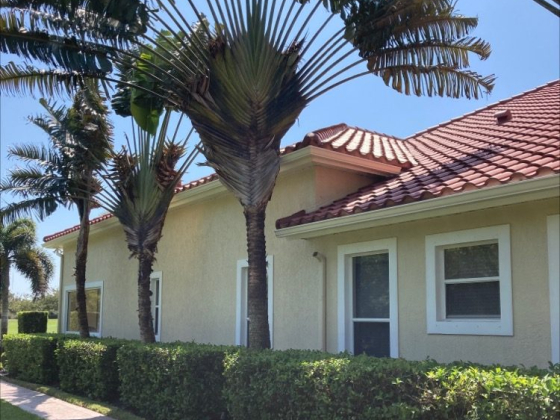 Sunny view of house exterior with palm trees