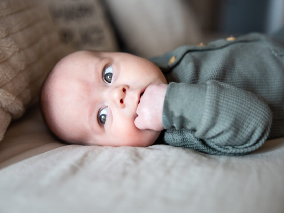 Rachel M Sullivan Photography