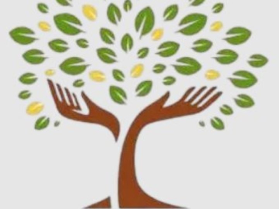 Family Tree Makers Support