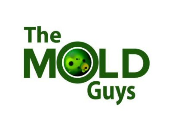 Florida's #1 Professional Mold Removal Experts