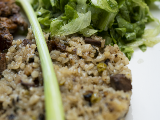 Close-up of rice patty with green salad and herb garnish