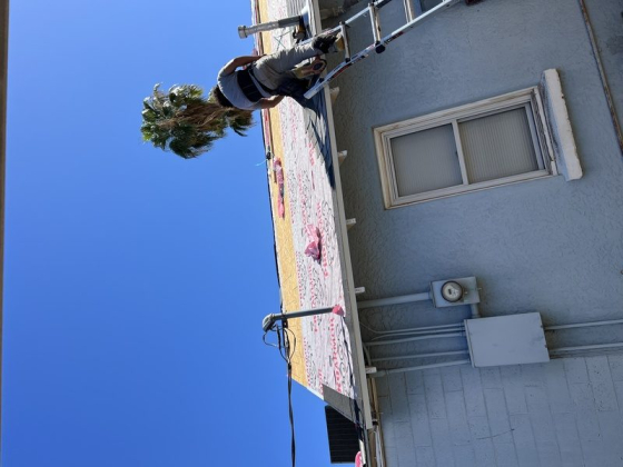 Individual painting a mural while climbing a ladder