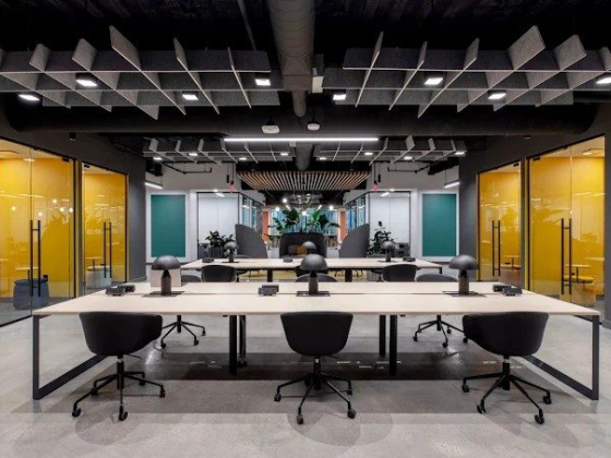 Open office with vibrant meeting rooms