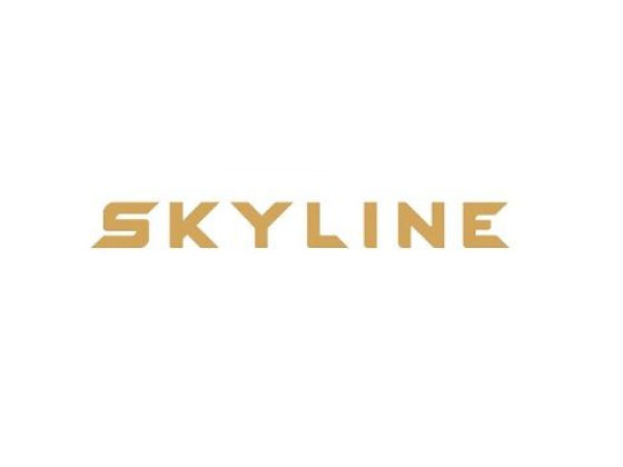 Skyline Tech Support