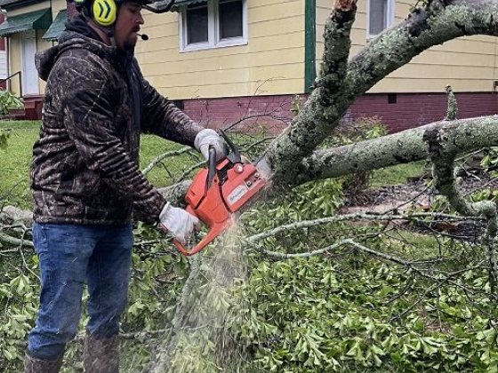 Warrior Tree Service
