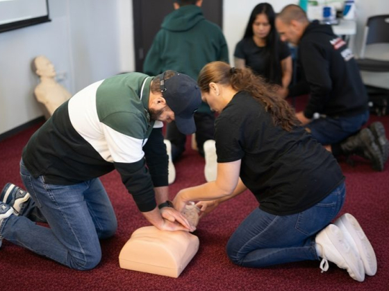 CPR training session with participants practicing on mannequins