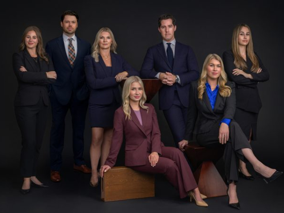 Team portrait of seven business professionals posing confidently