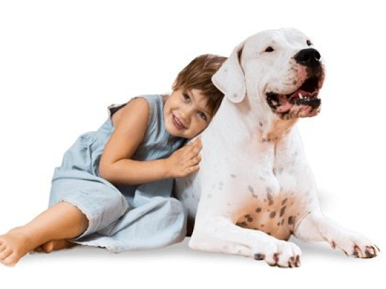 Young girl smiling next to a white dog
