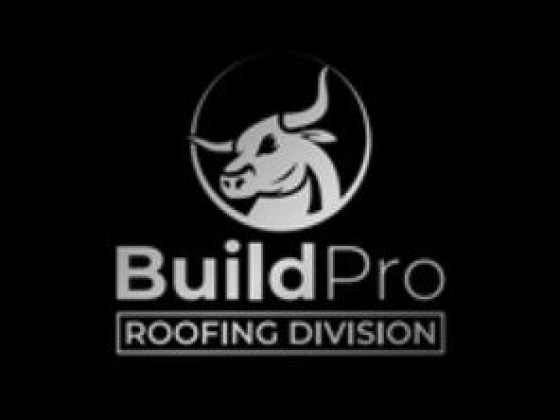 BuildPro Construction
