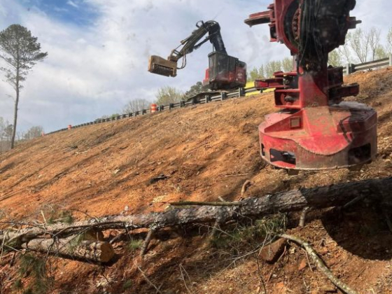 Harper's Tree and Stump Removal