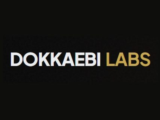 Dokkaebi Labs