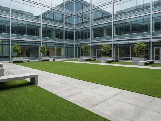 Outdoor courtyard with trees and benches