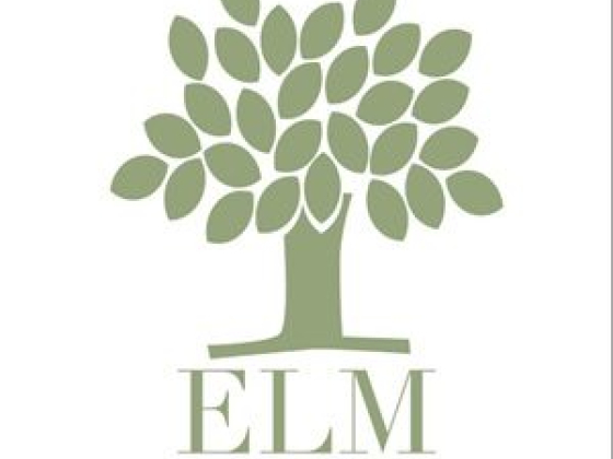 ELM Construction LLC