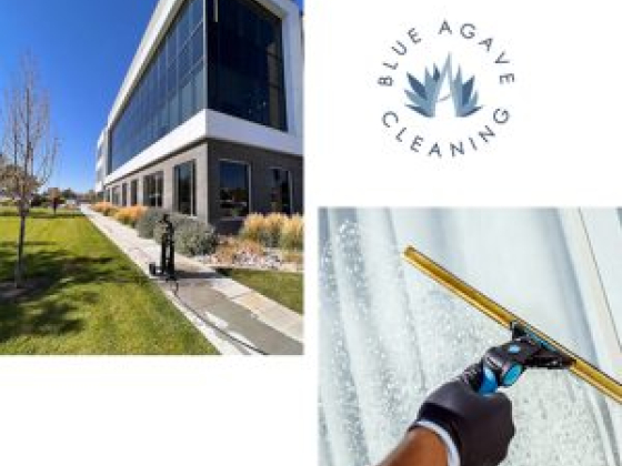 Blue Agave Cleaning
