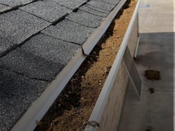 Roof gutter filled with dried leaves and dirt