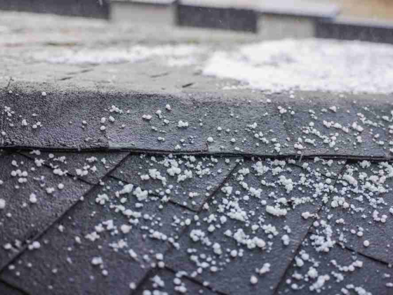 Close-up of small hailstones on a dark roof