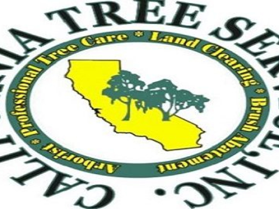 Tree Removal in CA