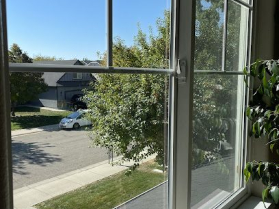 Bright day with trees and car seen from a window
