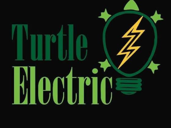 Turtle Electric